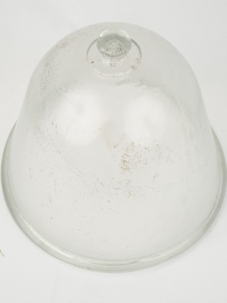 Frosted glass garden cloche