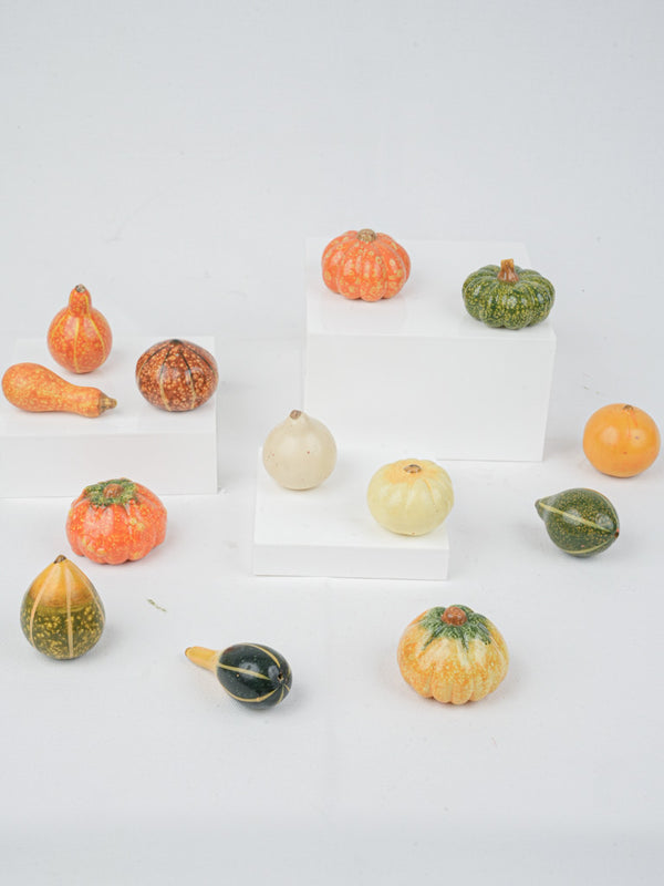 Decorative Set of 13 Fall Gourds & Pumpkins for Seasonal Display