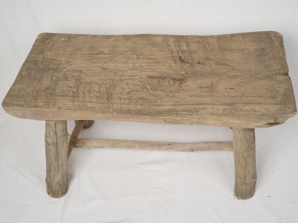 Scenic salvaged branch coffee table