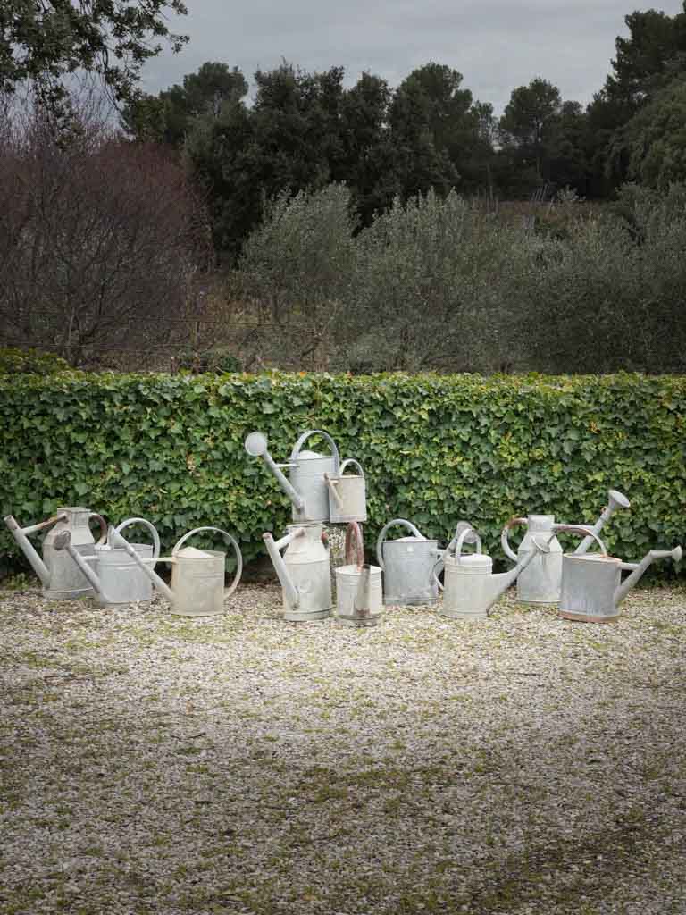 Rustic antique zinc watering cans