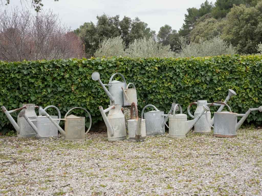 Charming vintage garden watering cans