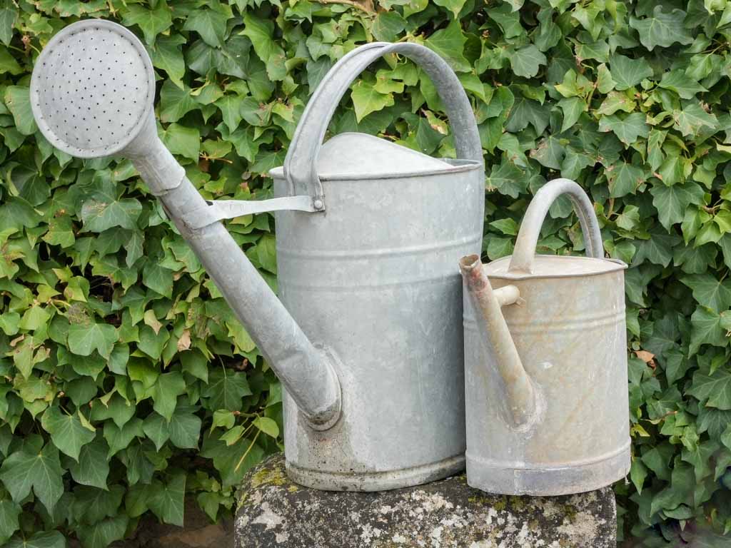 Time-worn Provencal watering vessels