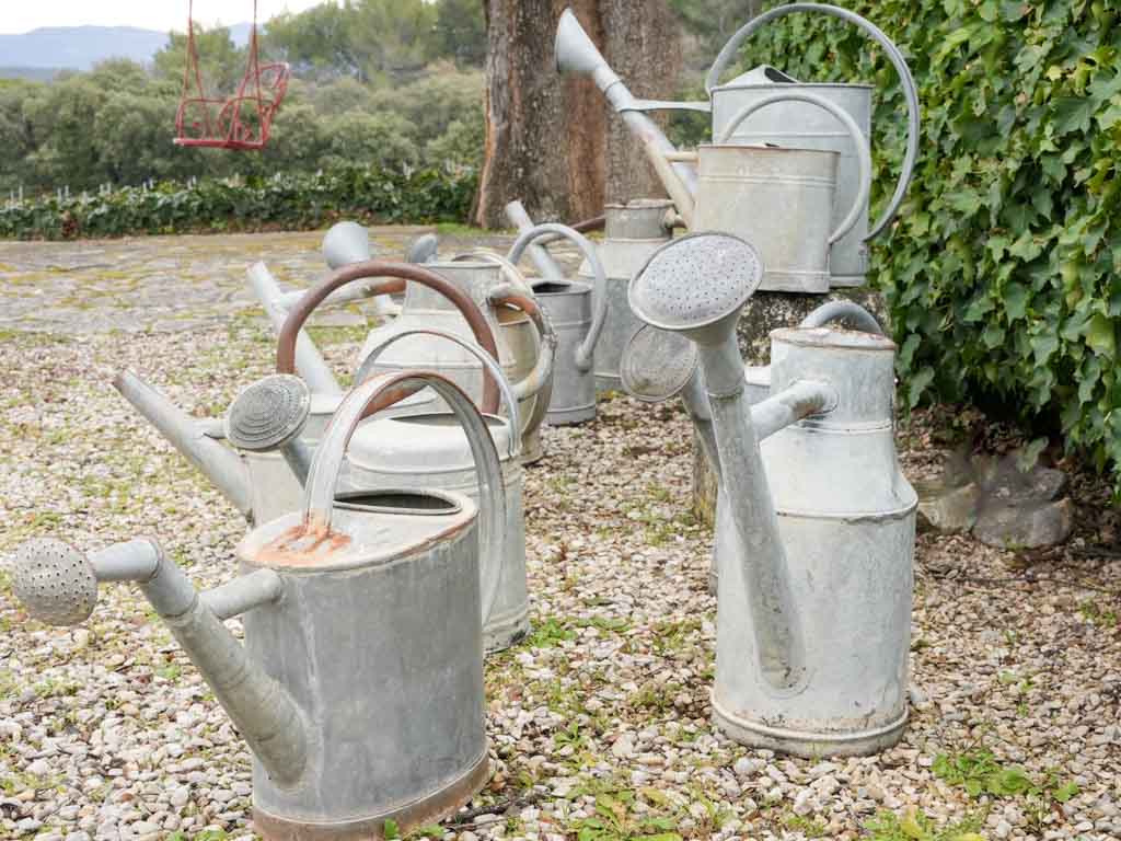 Aged zinc collectible watering cans