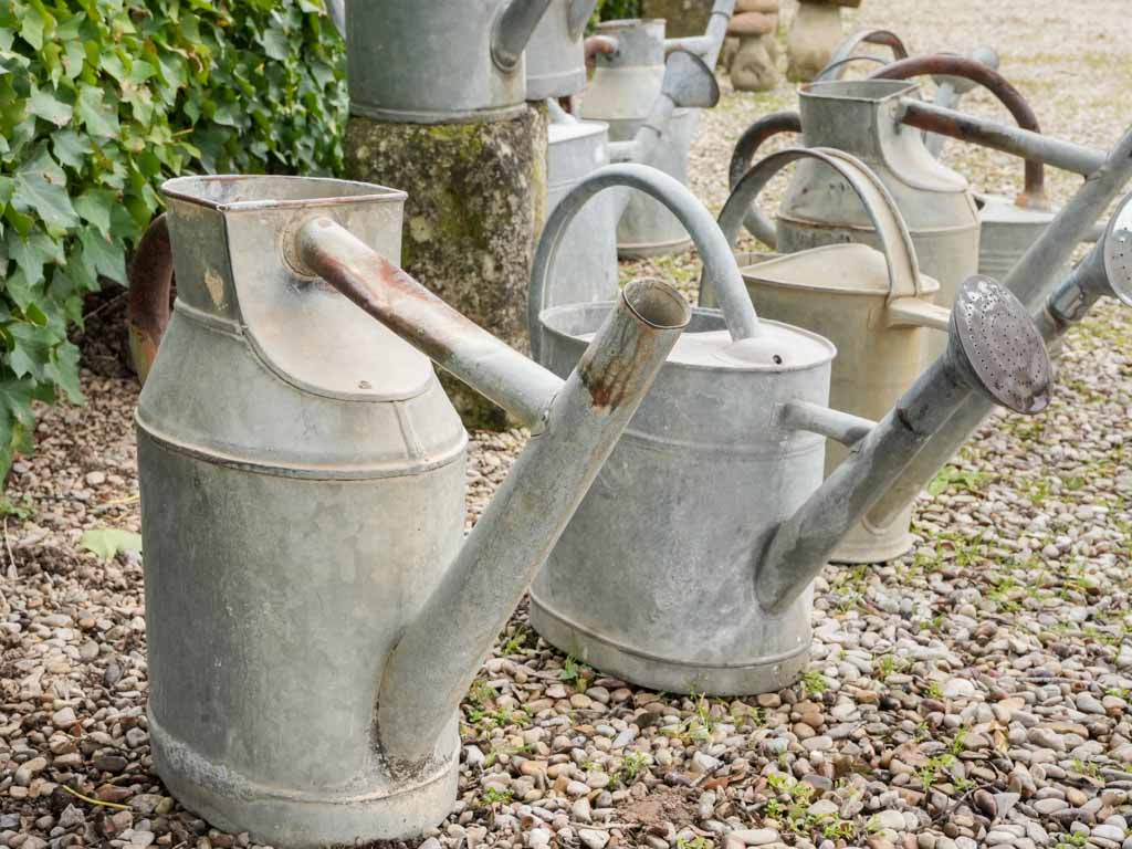 Vintage French brocante watering vessels