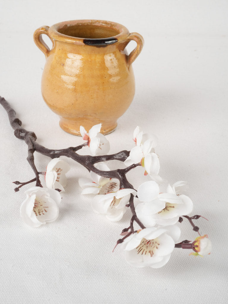 Elegant rustic French confit pot  