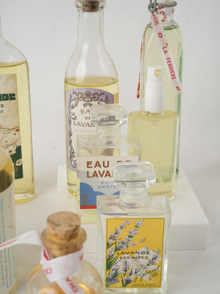 Time-worn Lavender Water Bottles Array