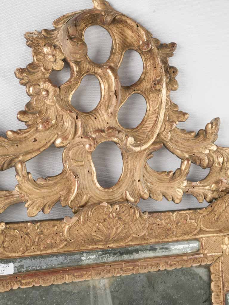 Striking, delicate shell and foliate mirror