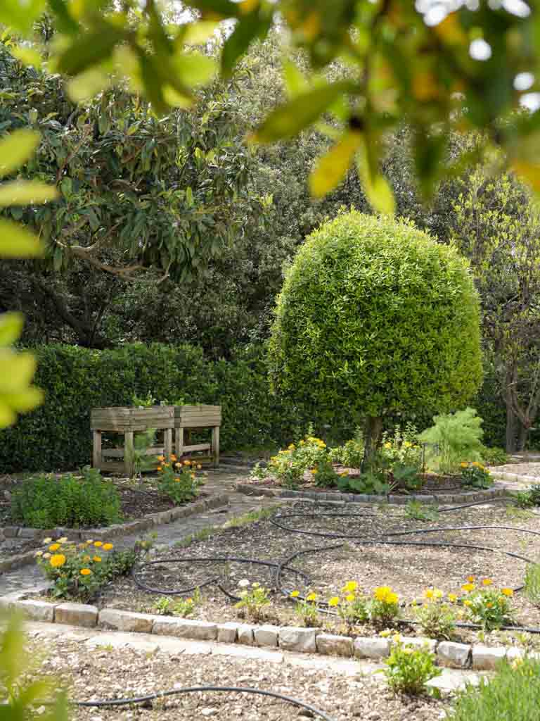 Weathered, rustic French outdoor benches