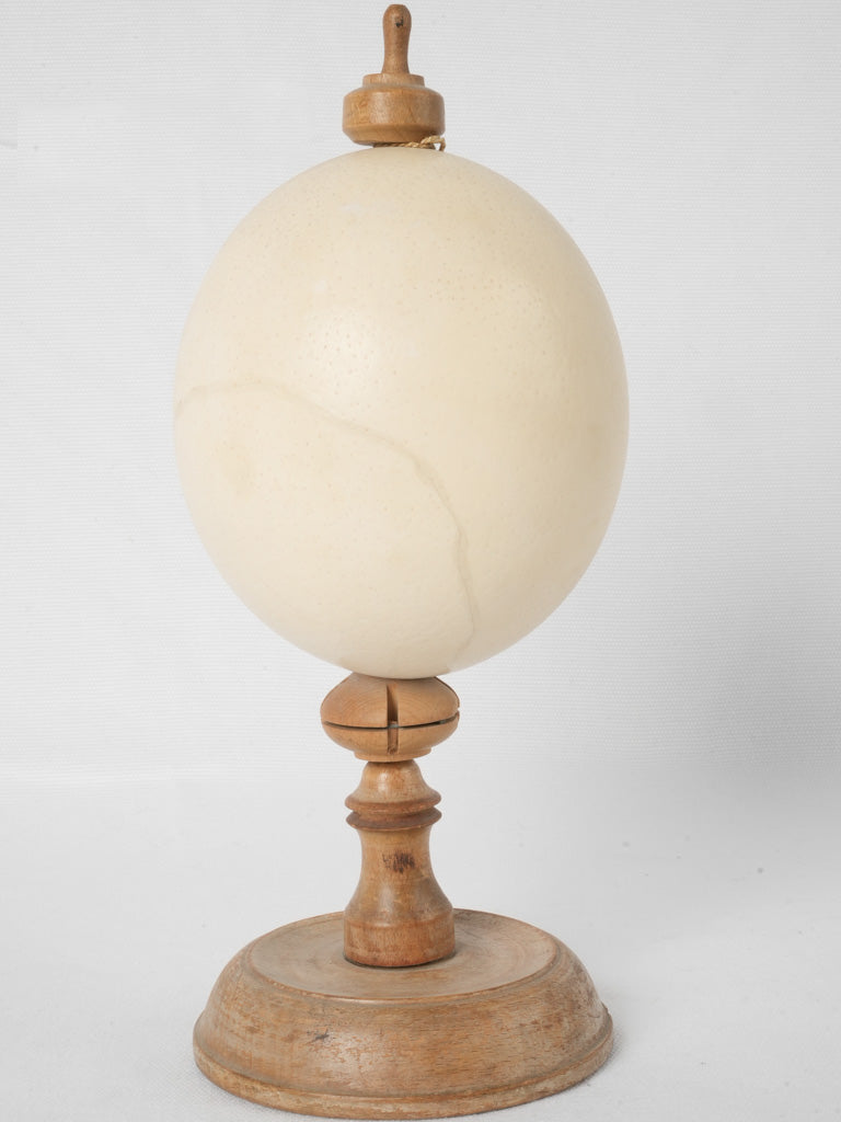 Charming 1950s ostrich egg decor