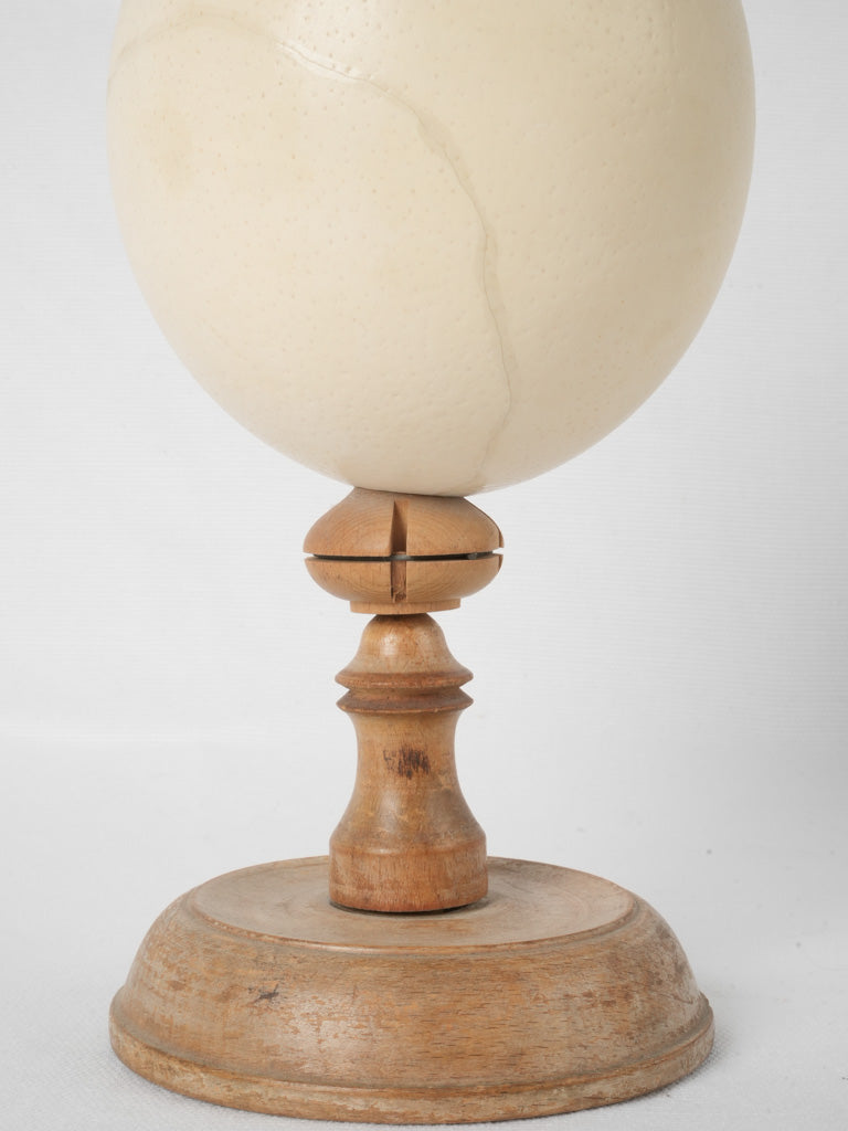 Repaired historical ostrich egg collectible