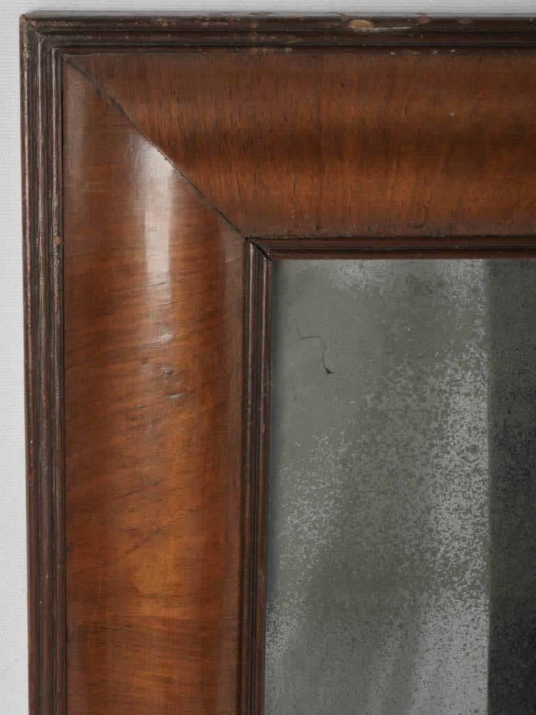 Seventeenth-century Dutch-style wall mirror