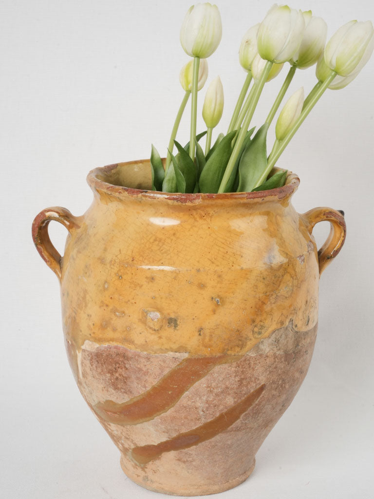 Aged Terracotta Confit Pot