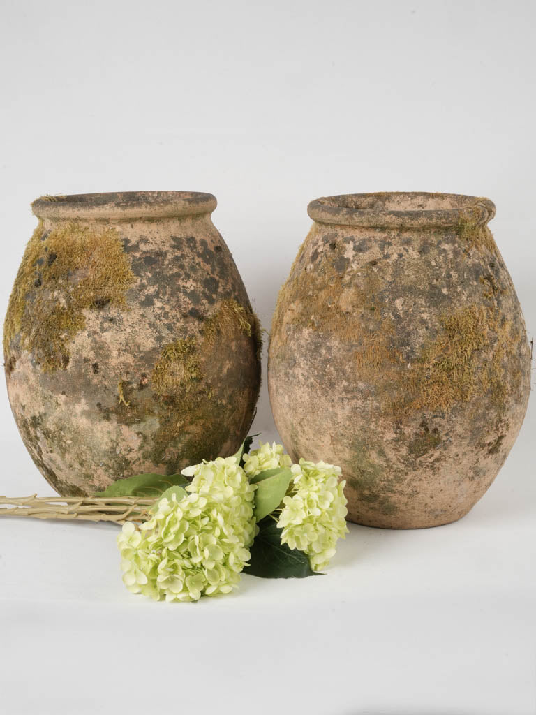 Aged Terracotta Olive Jars