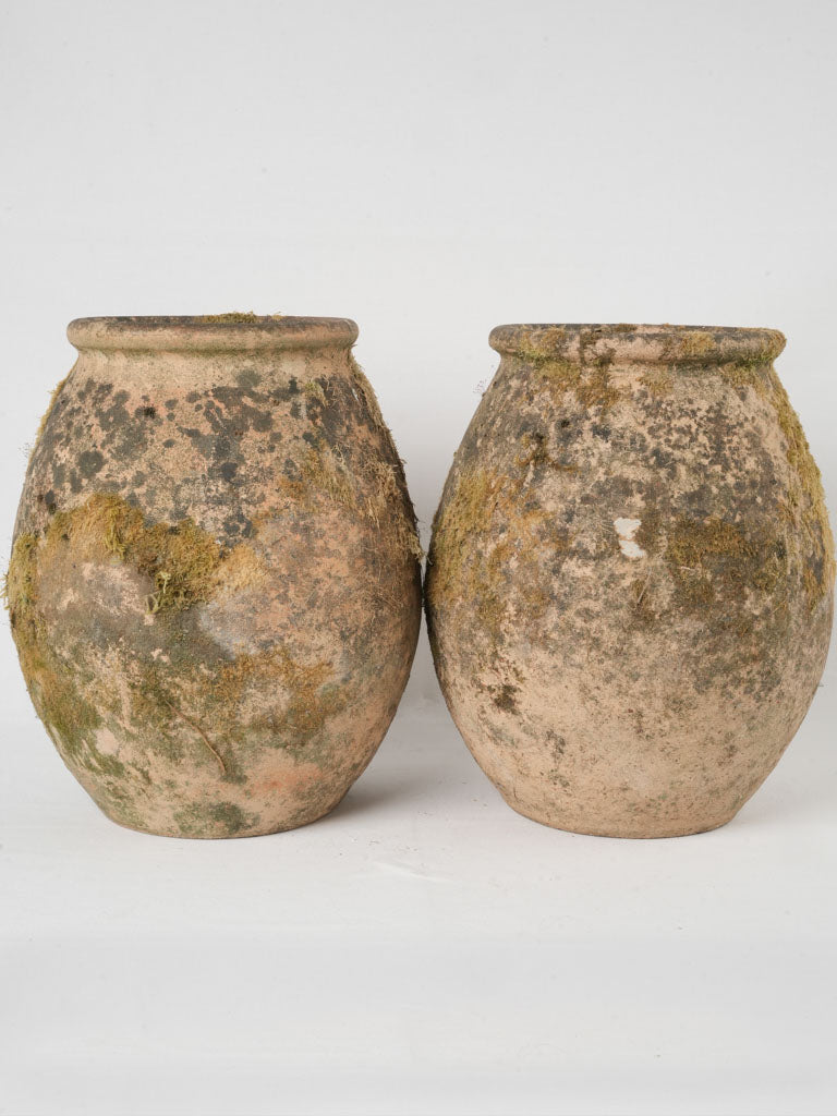 Earthy Provençal Terracotta Pots