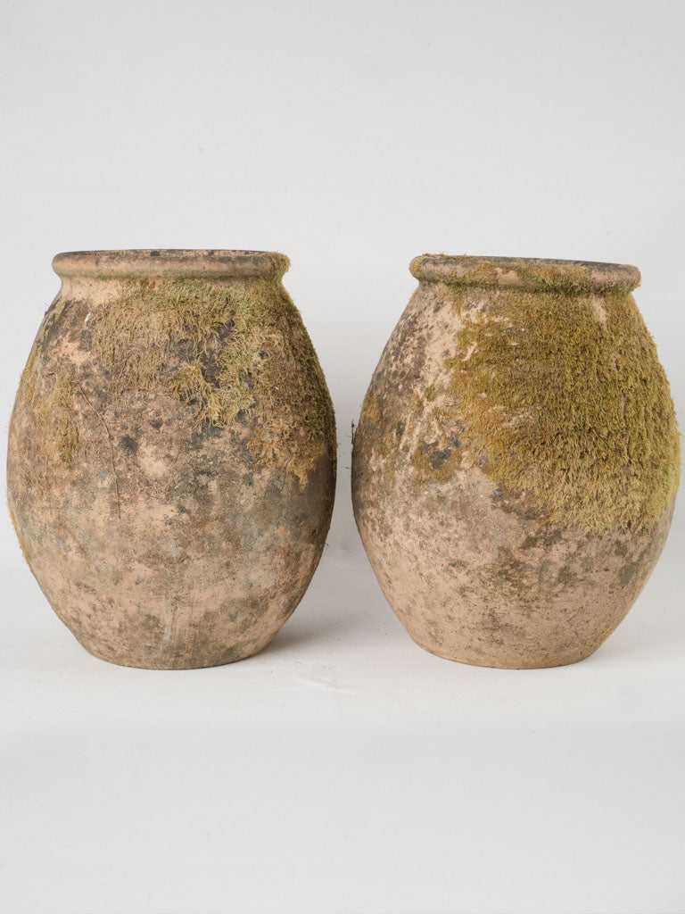 Weathered French Terracotta Containers