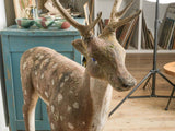 Naturalistic, Weathered, Vintage, Early 20th Century Deer