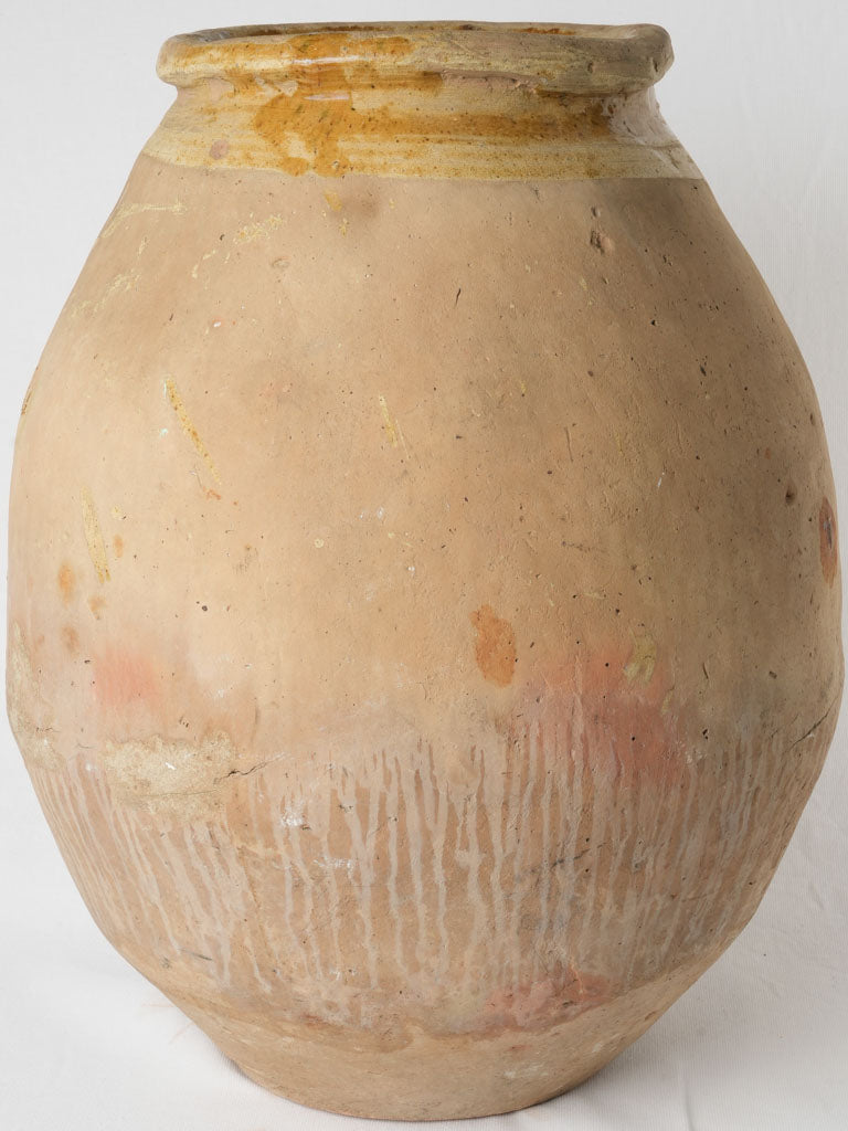 Robust 19th-century culinary antique jar