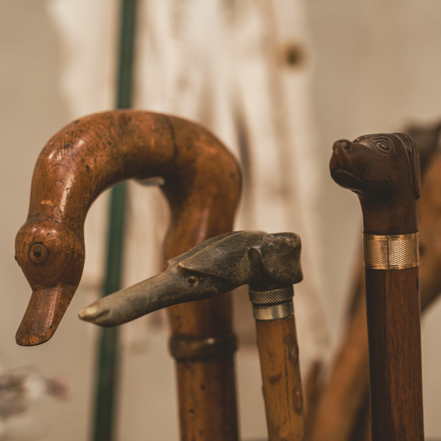 Delightful, traditional French walking canes