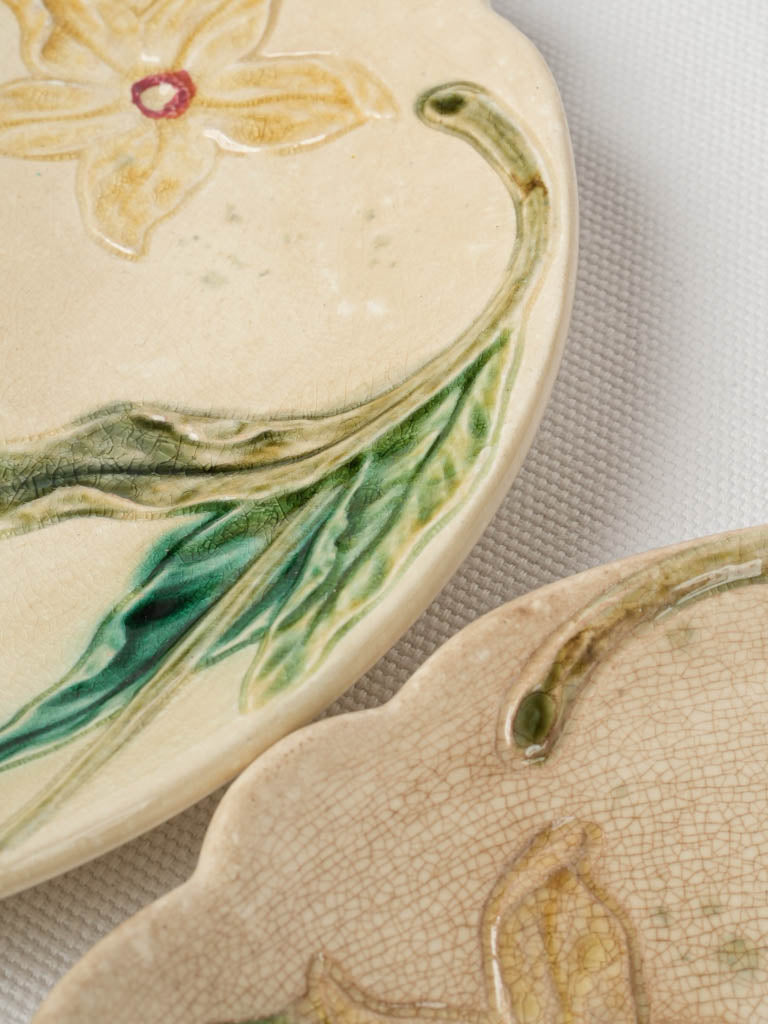 Elegant floral majolica earthenware plates