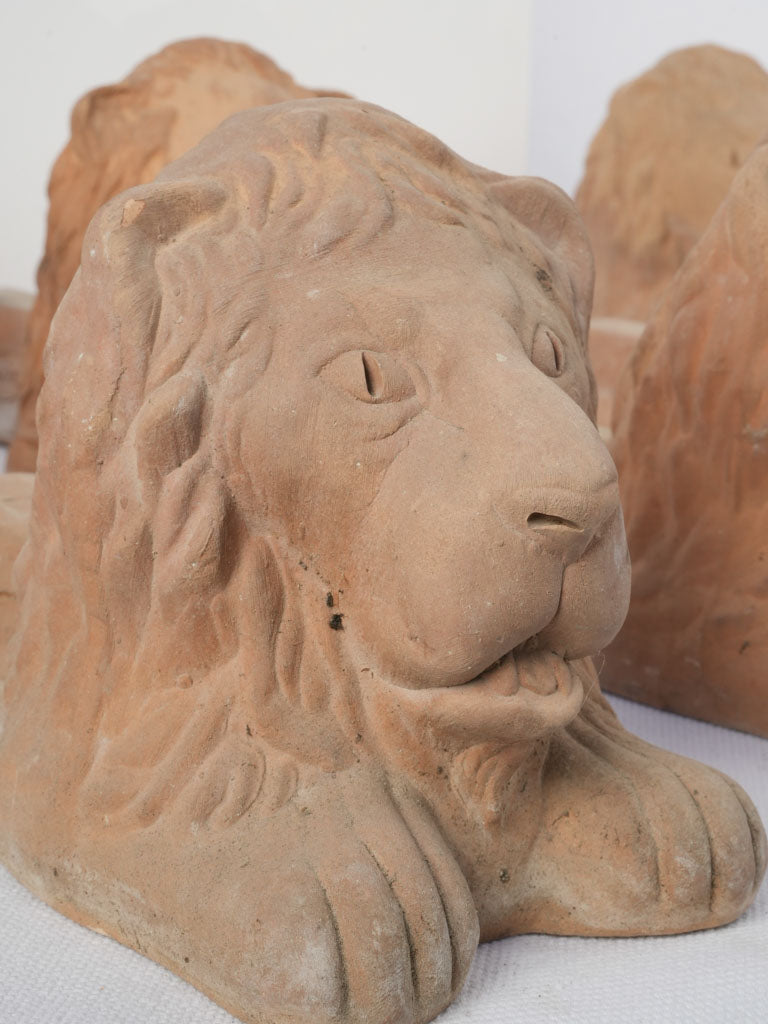 Aged Ravel lion's head risers