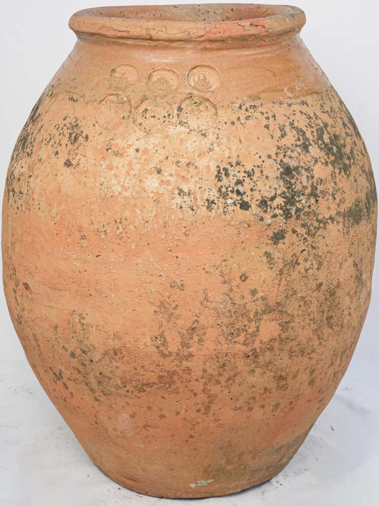 Rare, aged Fréjus olive jar