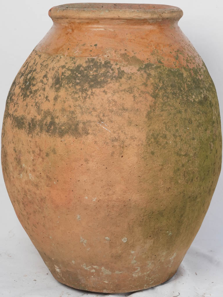 Ochre, antique Fréjus pottery jar