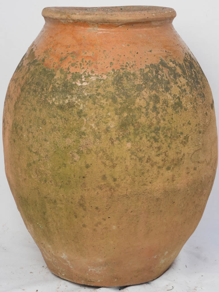 Seventeenth-century large, ovoid olive jar