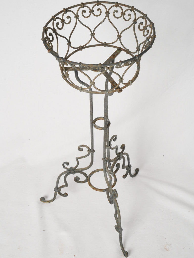 Elegant ironwork outdoor botanical rack