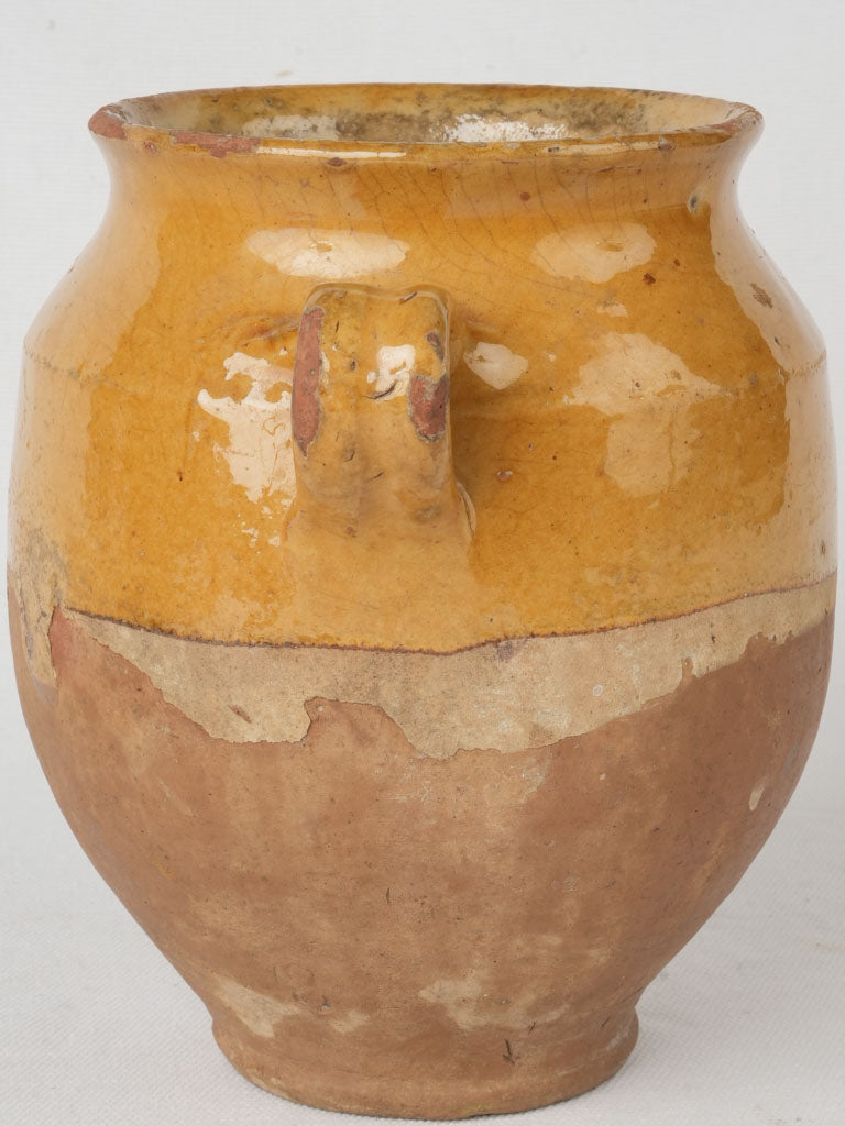 Petite preserved terracotta confit pot