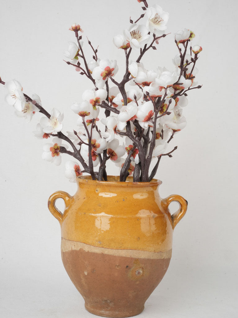 Rare terracotta culinary confit pot