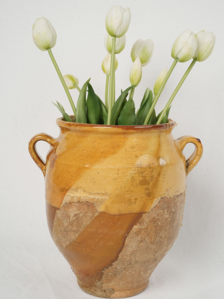 Antique earthenware rustic confit pot