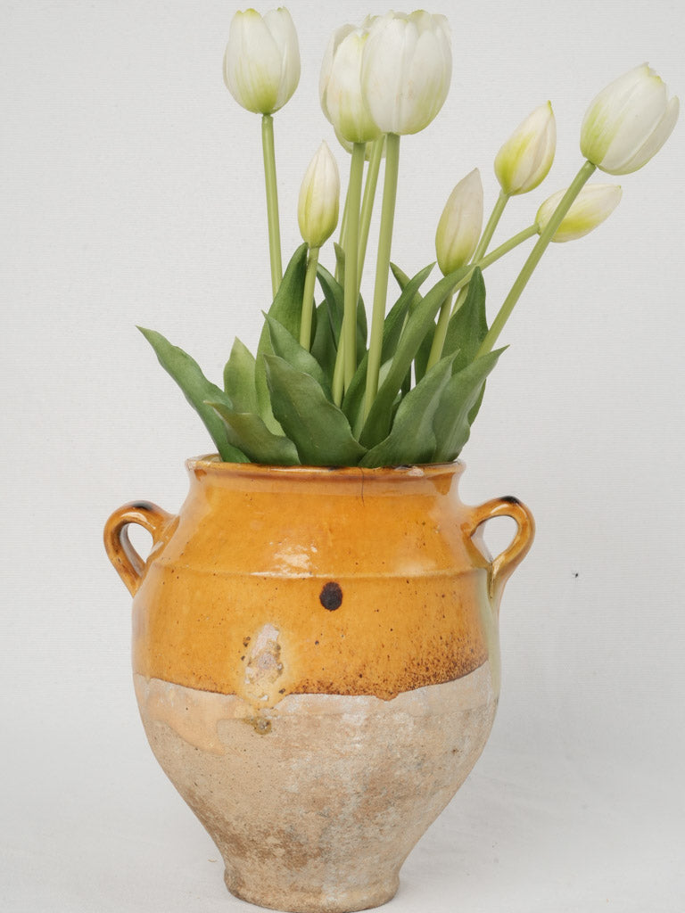 Rustic 19th century French clay pot