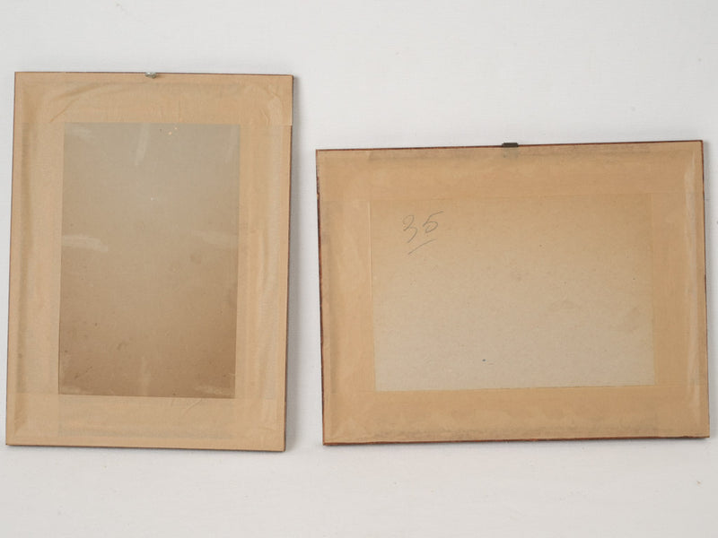 19th-century wooden framed herbarium specimens