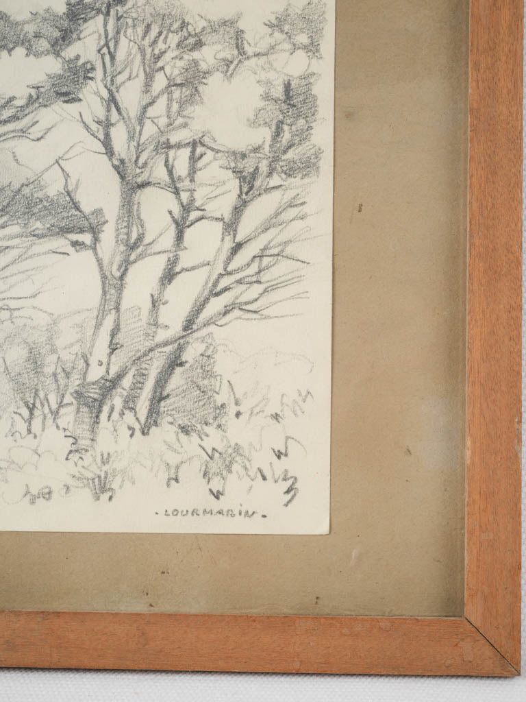 Time-worn French pine forest sketch