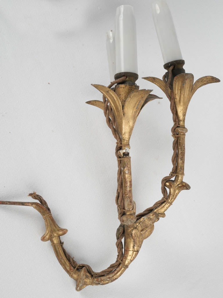 Beautiful gilded electric sconces