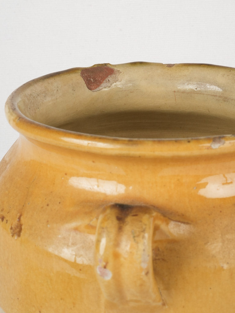 Rustic ocher twin-handled pot