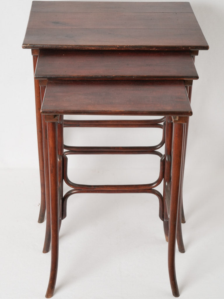 Sleek mahogany-topped nesting tables