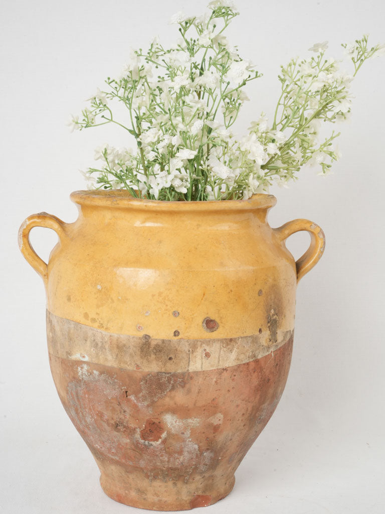 Antique ocher French confit pot