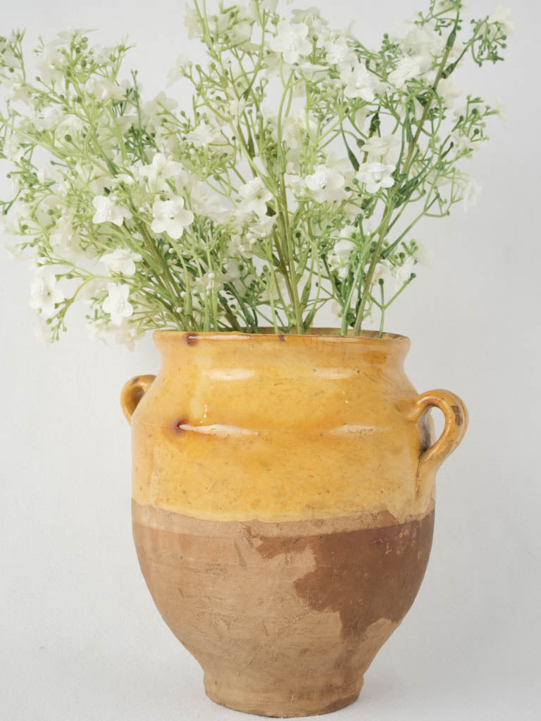 Aged, French, ocher-gazed, rustic confit pot