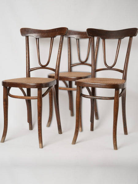 Bentwood dining chairs hot sale