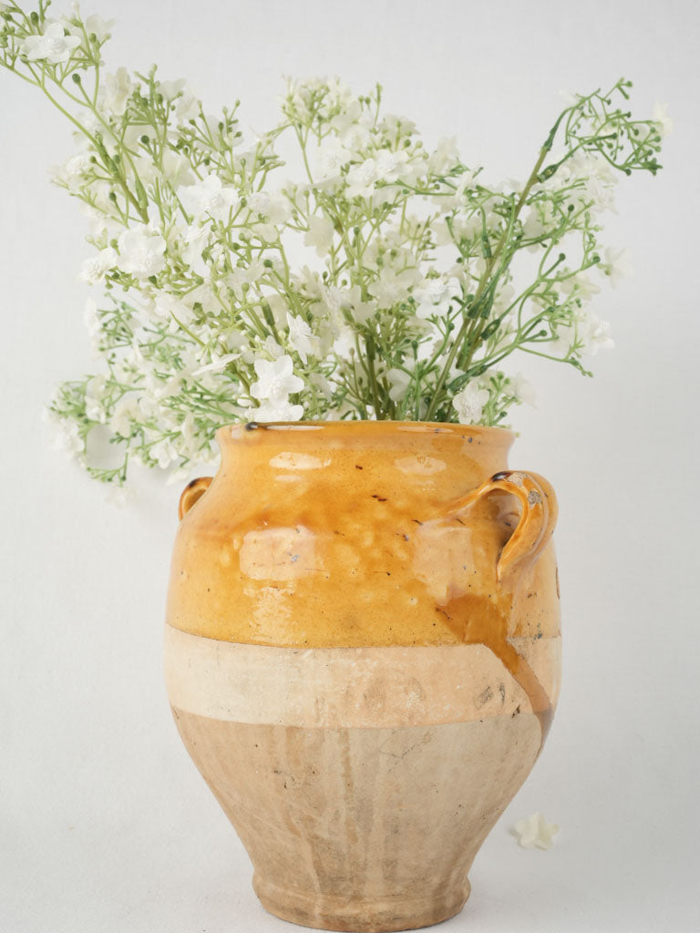 Old-fashioned Yellow French Confit Pot