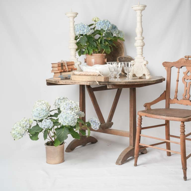 Exquisite 19th-century bathroom earthenware