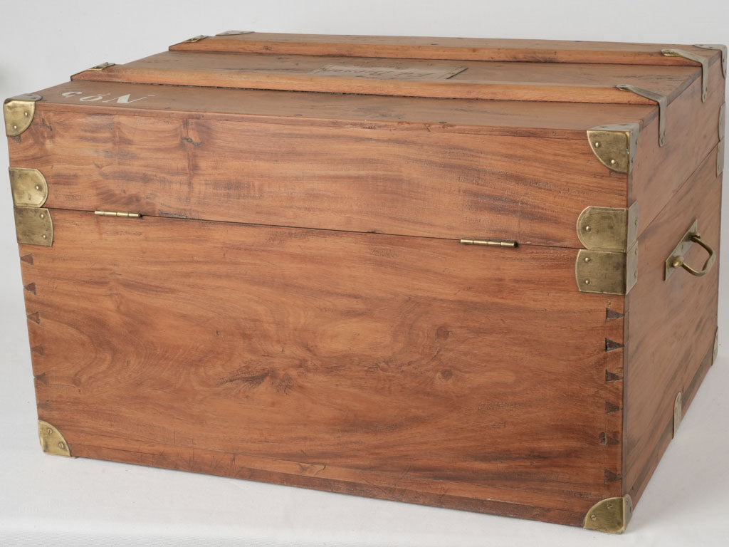 Historical, elegant camphor wood chest