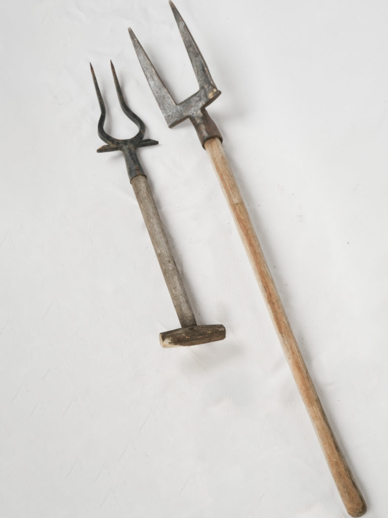 Rustic, antique digging forks