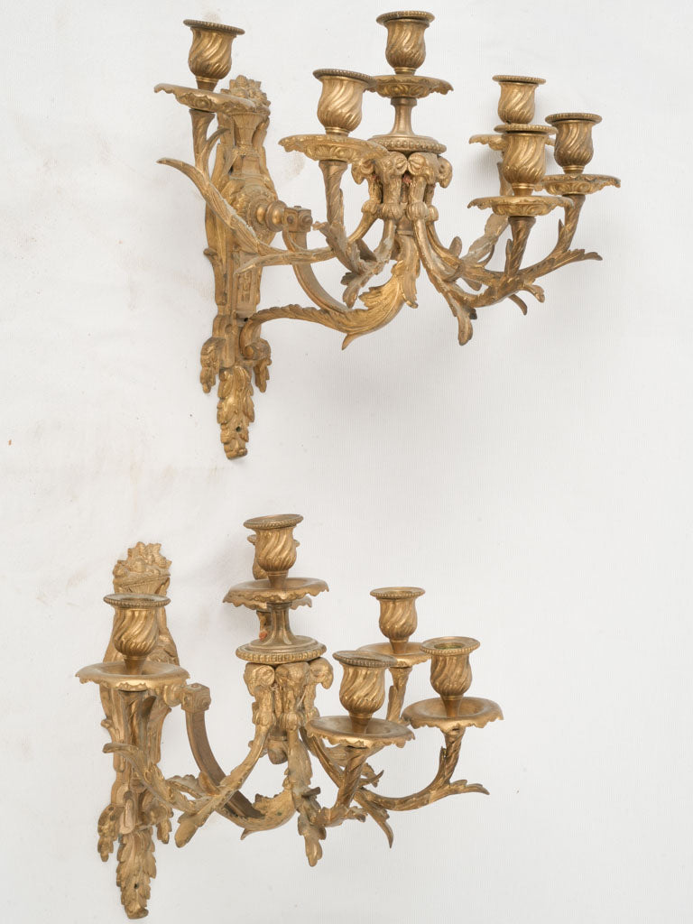 Exquisite Rocaille-style wall sconces