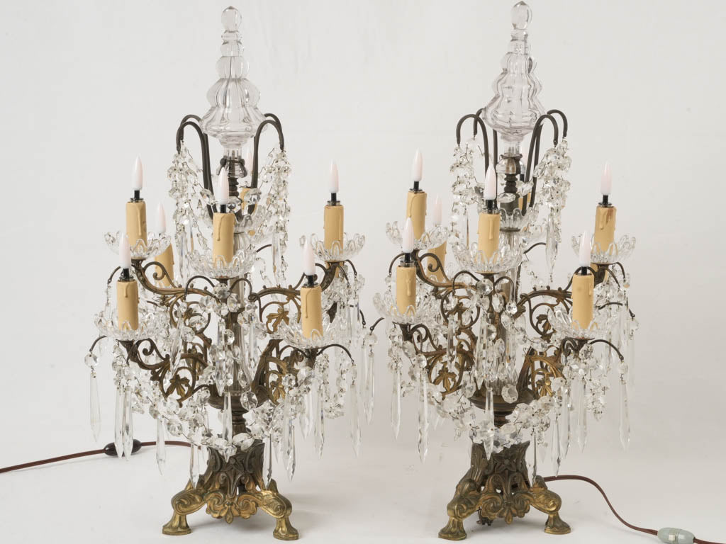 Captivating ornate French lamp pair