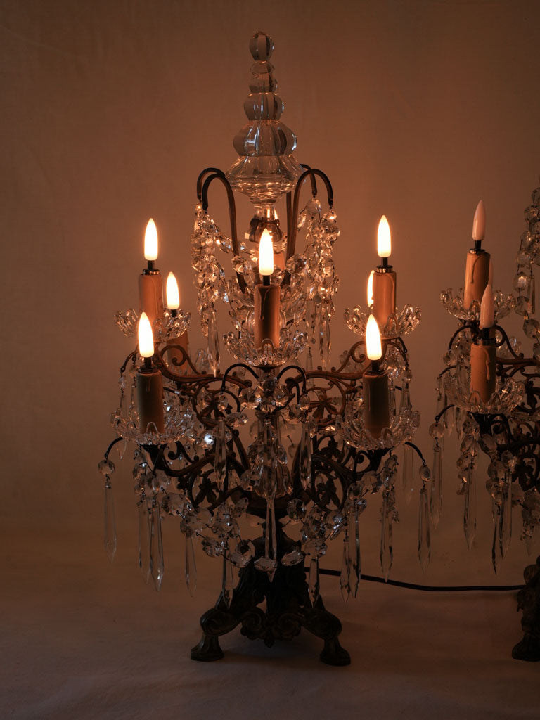 Exquisite bronze crystal adorned lighting