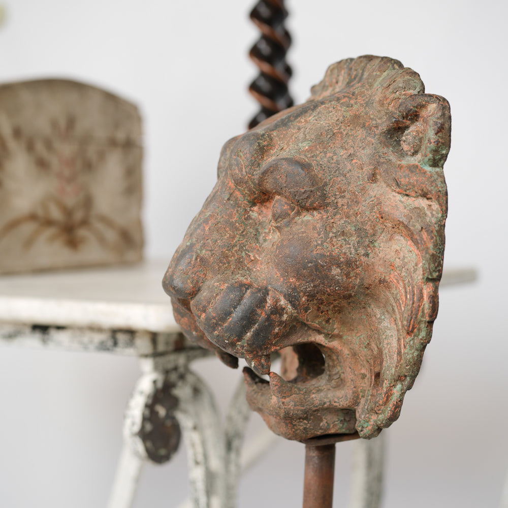 Charming vintage lion fountain spout