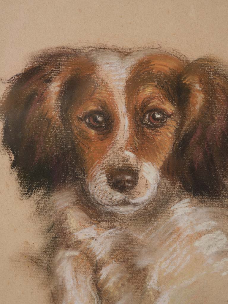 Affectionate early 20th century spaniel artwork