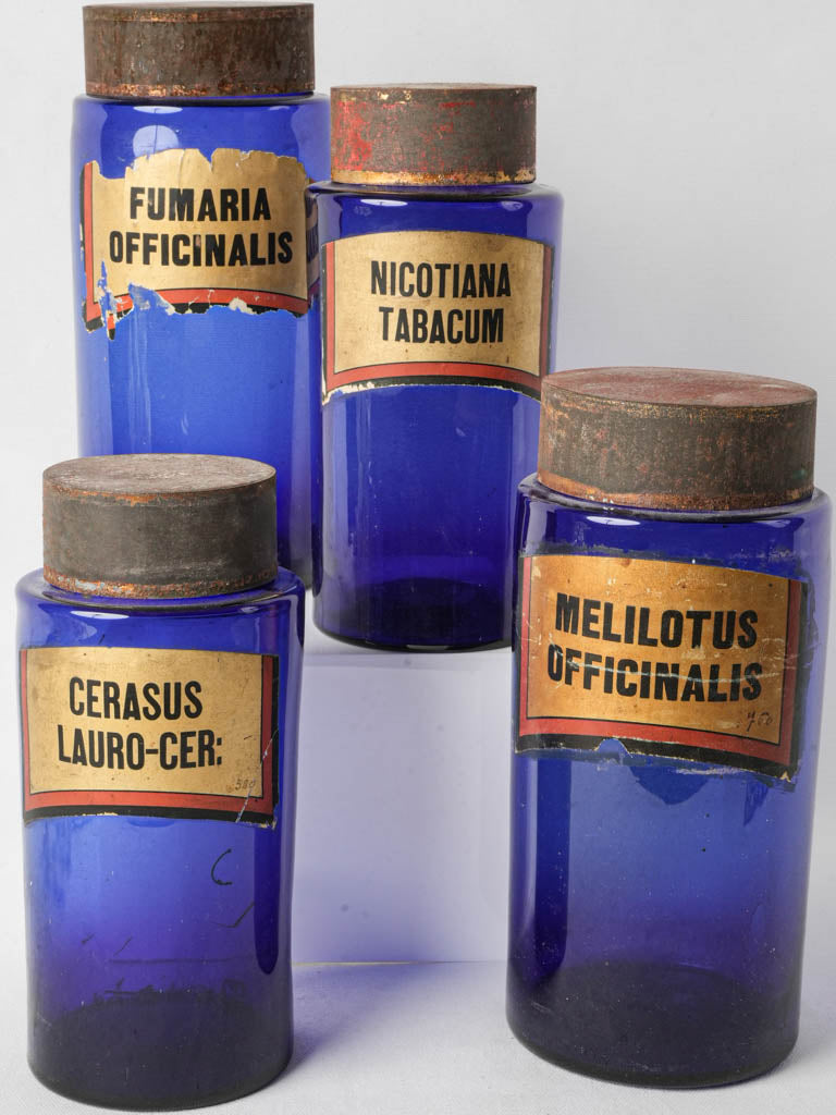 Antique cobalt glass pharmacy jars  